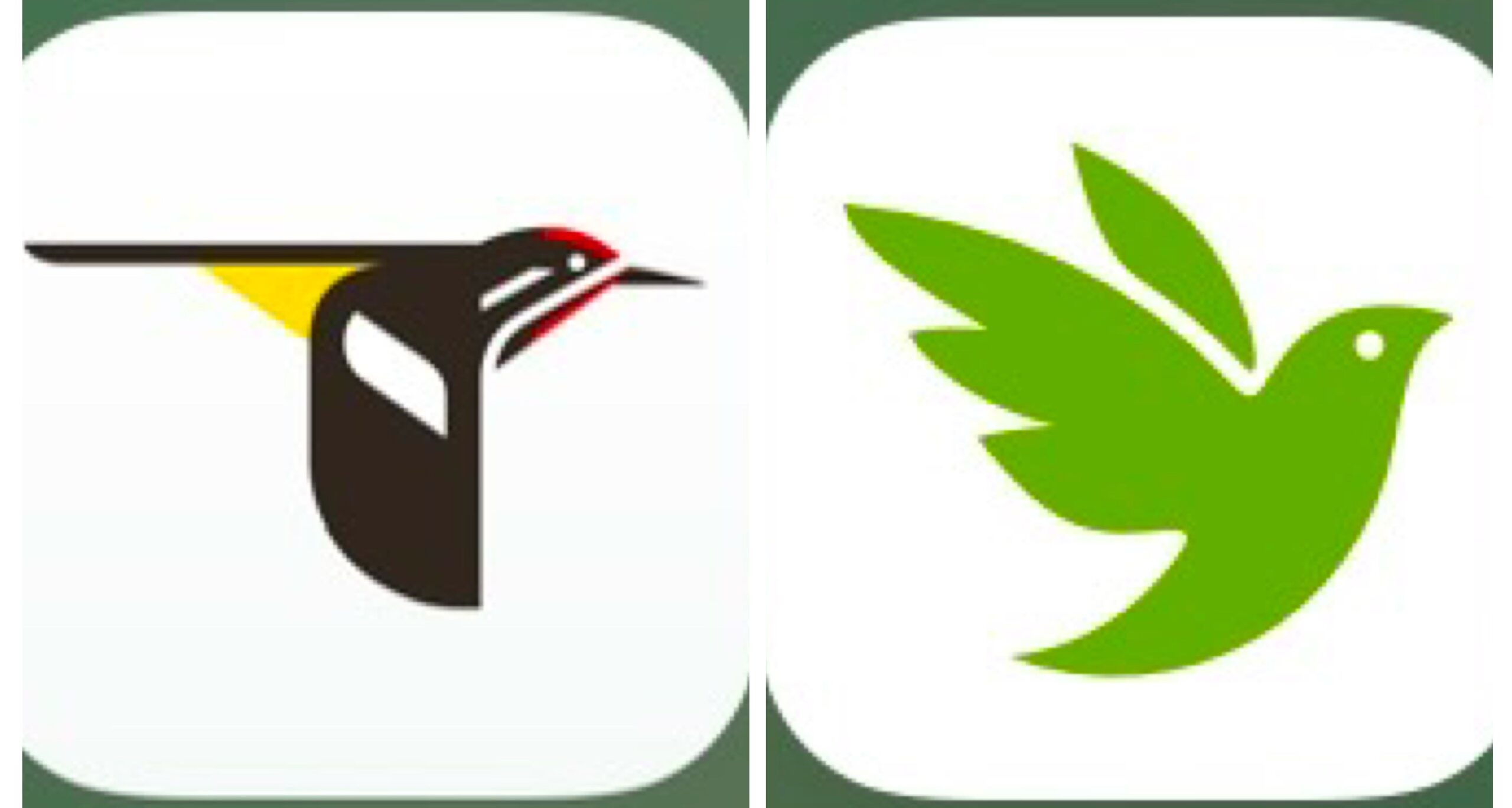 Education Hike - iNaturalist and Merlin Apps